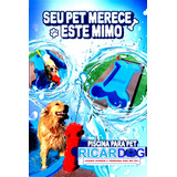 Piscina Osso  pet Day Care 