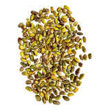 Pistache Cru Inteiro Sem Casca 500g Americano