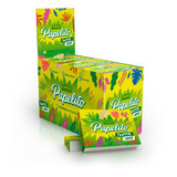 Piteira Papel Papelito Tropical Large Com 24 Livretos