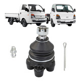 Pivo Bandeja Superior Hyundai Hr H1 H100 2 5 1993 A 2022
