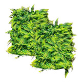 Decoração