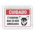 Placa Cão Feroz E Pequeno Mais Eu Não Arriscaria 40x25cm 
