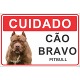 Pitbull