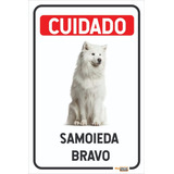 Placa Cuidado Cão Bravo Samoieda Pvc
