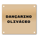 Placa Dançarino Oliváceo Pássaro Identificação