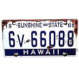 Placa De Carro Antiga Decorativa Metálica Vintage Hawaii GT414 9 Lorben