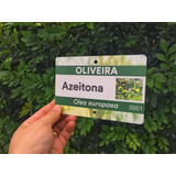 Placa De Identificação Árvore Frutífera 15 X 10cm 5 Unid