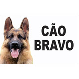 Placa De Identificação Cuidado Cão Bravo