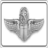 Placa De Licença Com Insígnia Cromada Do Piloto Do Comando Da Força Aérea