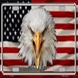 Placa De Licença Smart Blonde LP 1903 USA Eagle Metal Novidade