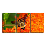 Placa Decorativa 80x140 Abelha Imagem Macro Na Flor