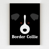 Placa Decorativa Border Collie