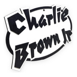 Placa Decorativa Charlie Brown Junior Oval 3d Relevo P234