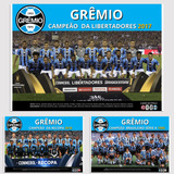 Placa Decorativa Quadro Pôster Grêmio Diversos
