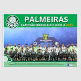 Placa Decorativa Quadro Pôster Palmeiras Diversos Campeão