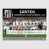 Placa Decorativa Quadro Pôster Santos Diversos Campeão