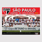 Placa Decorativa Quadro Pôster São Paulo Diversos Campeão