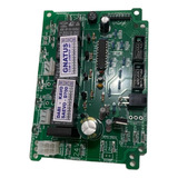 Gnatus