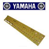 Placa P Teclado