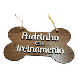 Placa Personalizada Pet Pagem