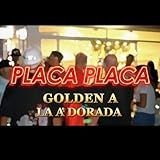 Placa Placa