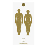 Placa Radiônica Figura Humana Alinhamento Dos Chakras Geral