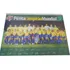 Placar - Poster Brasil Penta Campeão Mundial