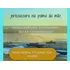 Planeje Sua Viagem A Jericoacora Com Nosso Guia Completo