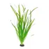 Planta Aquática Vallisneria Gigante Low Tech   30 Mudas