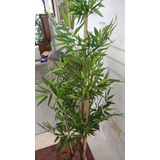Planta Artificial Árvore Bambu Japonês 3 Hastes 1 30mt Altur