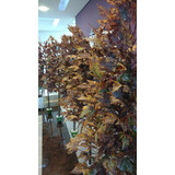 Planta Artificial Árvore Folha Canadense Outono