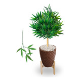 Planta Artificial Bambu Com Vaso Marrom