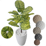 Planta Artificial Bulbo Tinhorão Caladium Jardins Com Vaso