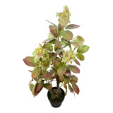 Planta Artificial Decorativa Folhagem