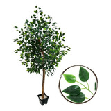 Planta Artificial Ficus Extra Grande Real Toque