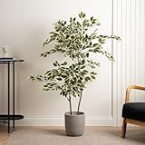 Planta Artificial Ficus Variegata Planta Realista Para Decoração 150cm