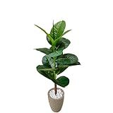 Planta Artificial Figueira Ficus Lyrata Verde