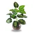 Planta Artificial Grande Folhagem 80cm Decoração Casa Sala