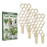 Planta De Jardim Z Para Plantas Trepadeiras Vaso Interno