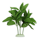 Planta De Seda Para