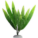 Planta De Seda Para