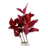 Planta De  Seda  Para Aquário Cód 005 - 20cm