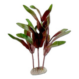 Planta De Seda Para Aquário Cód 011 21cm