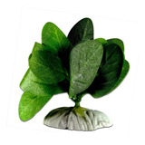 Planta De Seda Para Aquário Cód 012 8cm
