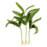 Se02