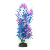 Aquario