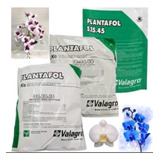 Plantafol 1kg 10 54 10 1kg 20 20 20 Rosa Deserto Adubo