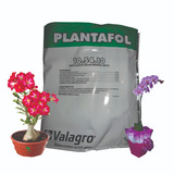Plantafol Adubo 10 54 10 1kg Floração