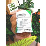 Plantafol Adubo 10 54 10 1kg P Floração De Rosa Do Deserto