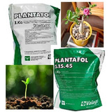 Plantafol Adubo 10 54 10 1kg P Floração De Rosa Do Deserto